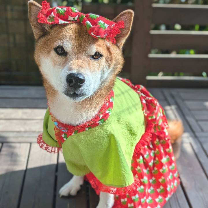 Ca439c02 b2b2 450b 8d20 fcf7708efd63 1725668200026