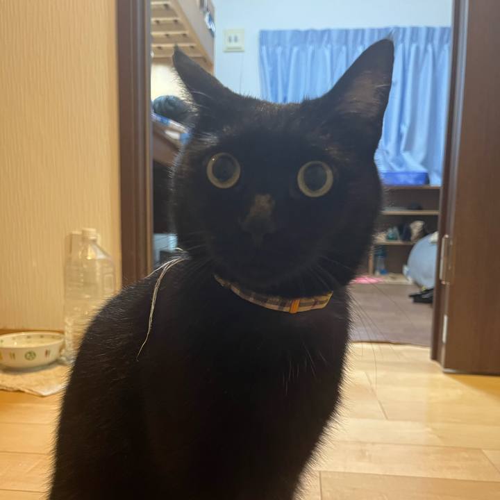 Ca43d38b 81ce 42bd aead 8c3fb2bf2207 1716383447186