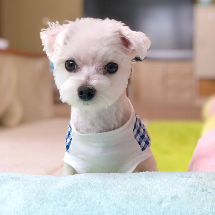 Ca43e2f0 fed9 4811 9a54 eb74ed7d9608 1566121205377