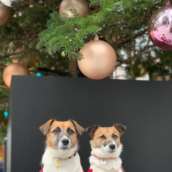 Ca43e7e5 bbc7 4fbc 9729 046ca4aef2fa 1576985889922