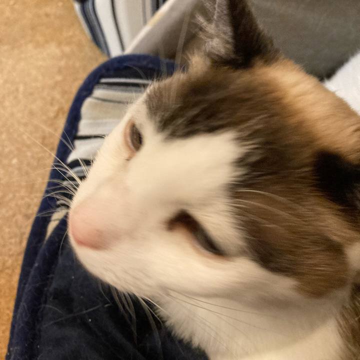 Ca43fdd0 c015 4082 aa3d 6bbf244ebe8f 1675598484712