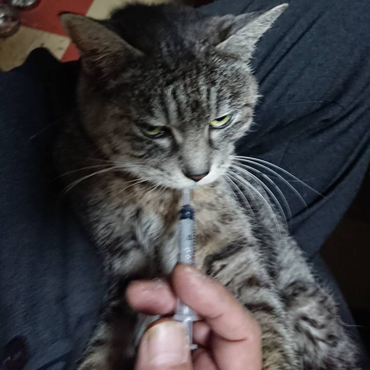 Ca4401fd be56 42cb b88f 50ff3663d1be 1580334286158