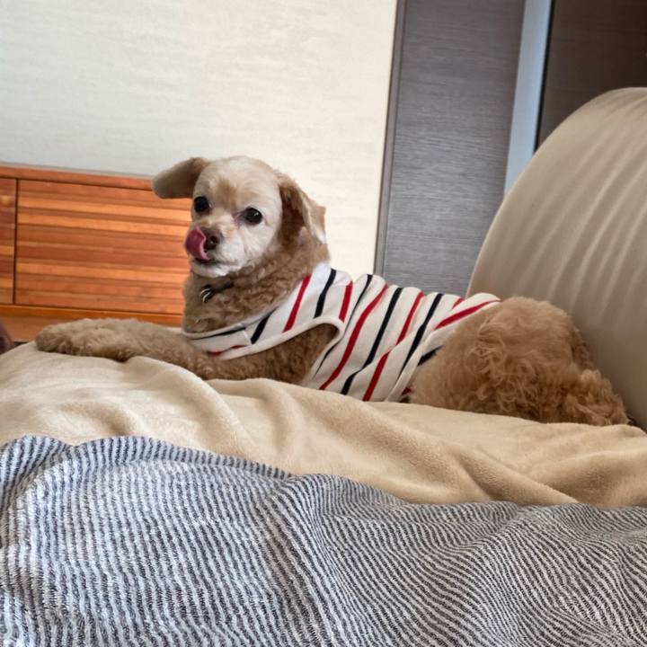 Ca442eba de97 42b0 81a5 fad2ad5cc3a1 1583128353156