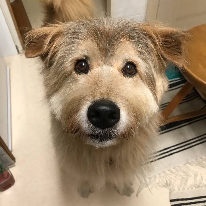 Ca446333 6f39 42c1 92fe 5c8beec3a051 1543418561819