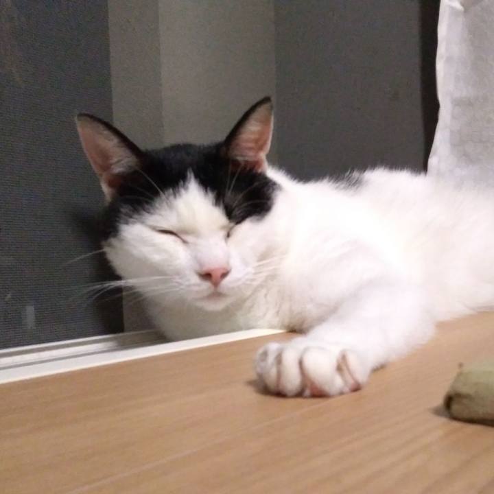 Ca448bd9 4218 48a9 860b ecd2d9bf0ced 1535977094583