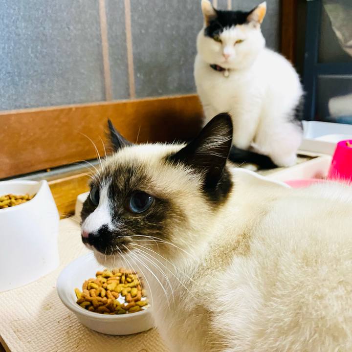 Ca44a097 d413 4121 9494 04cda62e77d8 1682513330590