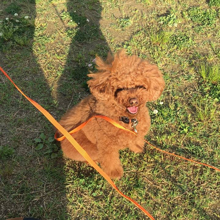 Ca44bdfc ab76 4da7 84ce 006aee9a412b 1525431961798