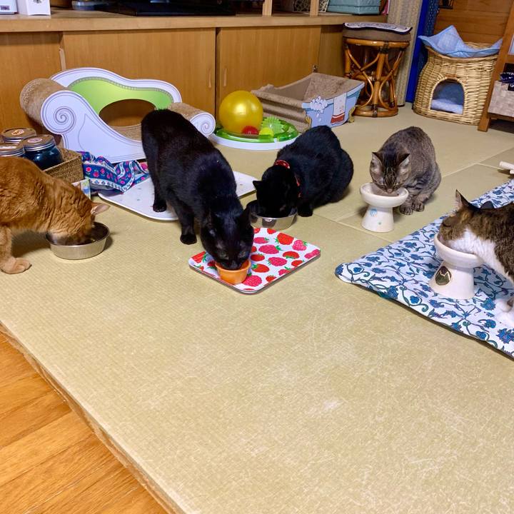 Ca4502d2 2618 423a b79e e56394a87b3b 1627340352621