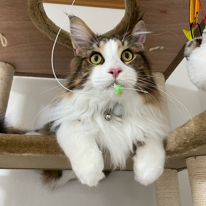 Ca453018 aa5b 4e6c bc14 e011203c9355 1648590012181