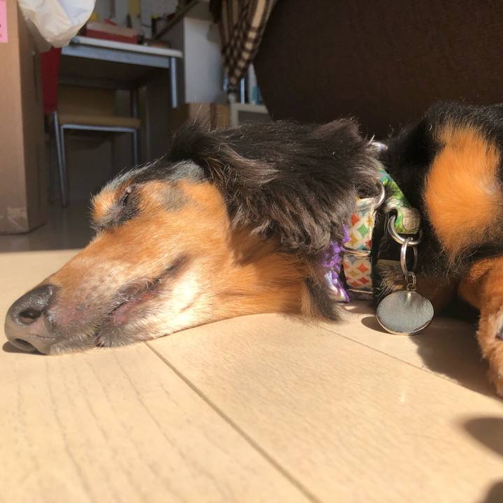 Ca453101 0e94 4dc9 b83d d9c70641ef5c 1553405715304