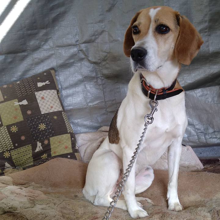 Ca453e79 ef84 4c81 a8df 9ce85f37200f 1653982620591