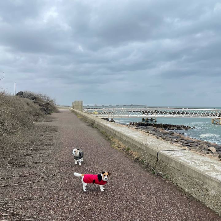 Ca455d4b dd11 49f0 9fb2 9e93ffe4163e 1679875680147