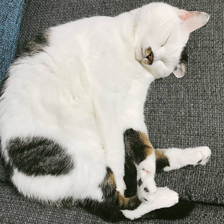 Ca457d74 8fca 4412 8125 67e745ada45e 1526636645097