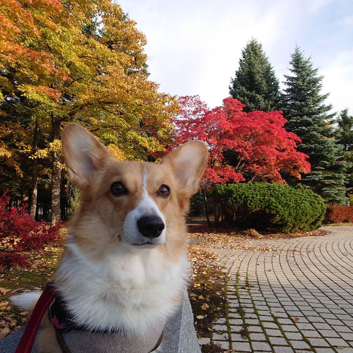 Ca45b498 bf2b 4af8 b98a 54aed37d267a 1761176241906