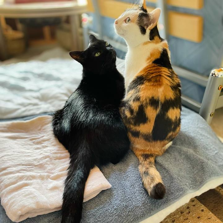 Ca45d6c1 238d 4856 b584 92b91533eeea 1630895584289