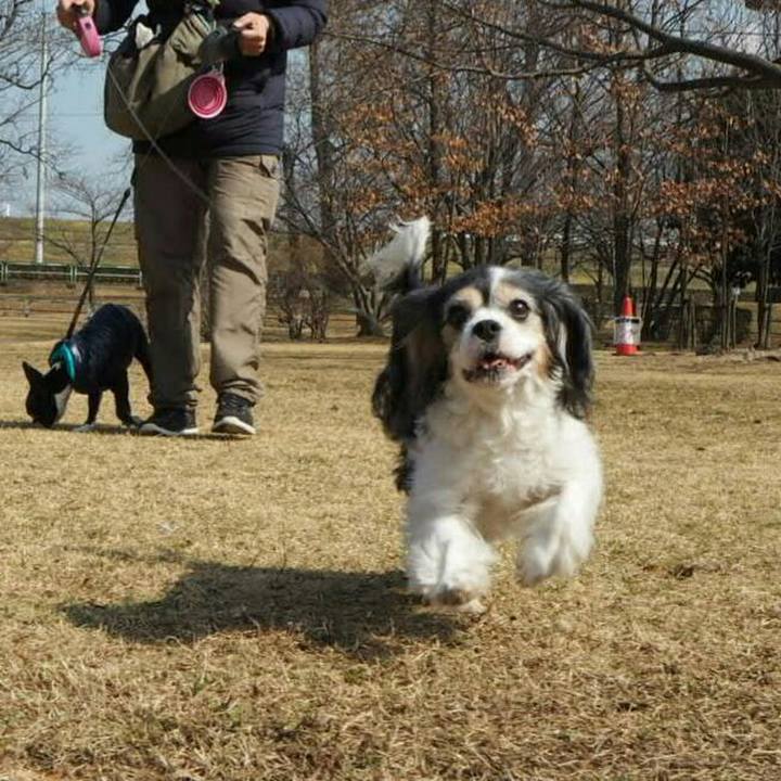 Ca4652b6 607d 4005 a7d4 003b5dc2b6d4 1518843074768