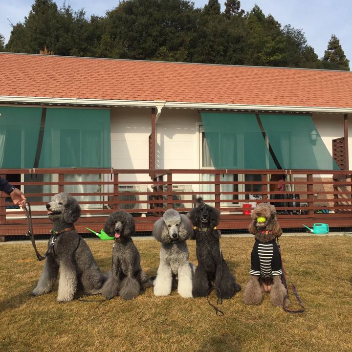 Ca467563 1fb4 4fa5 afa2 3f651d9c9103 1543236661615