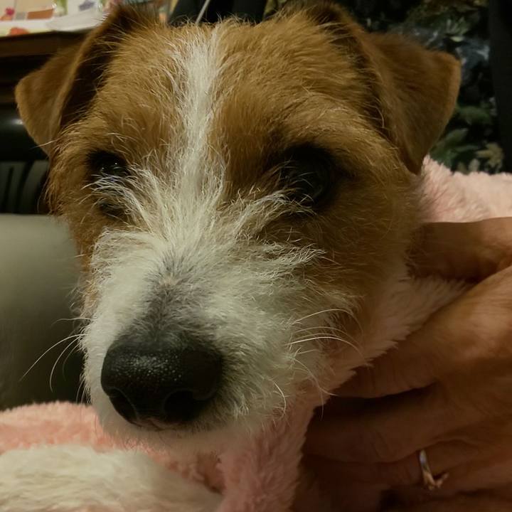 Ca468943 e6f7 4a6d b0f9 558ee70c79de 1551348972526