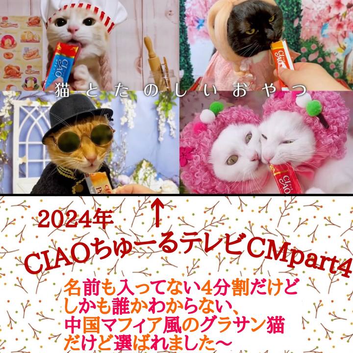 Ca46a222 c150 4cdf aae7 8a52c55e1ee4 1727184083772