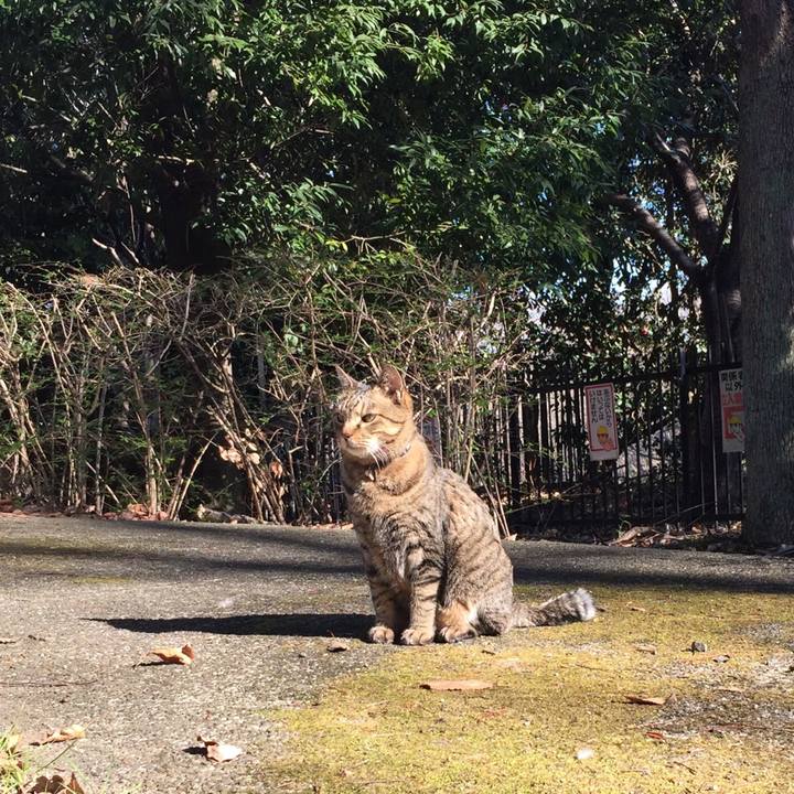 Ca46afb0 75d3 48e2 a53b 2ac65c8dbe86 1515744674561