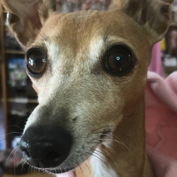 Ca46bd81 4ab6 4e2e bd9e e7a82a60b6f1 1514252866837