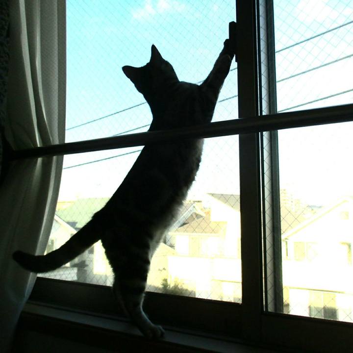 Ca471c37 1c52 483f 8947 7662a5c26c3f 1549153522101