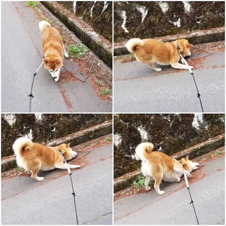 Ca474cfb 0846 4616 afd9 a9e06e6f3ad3 1620894234996