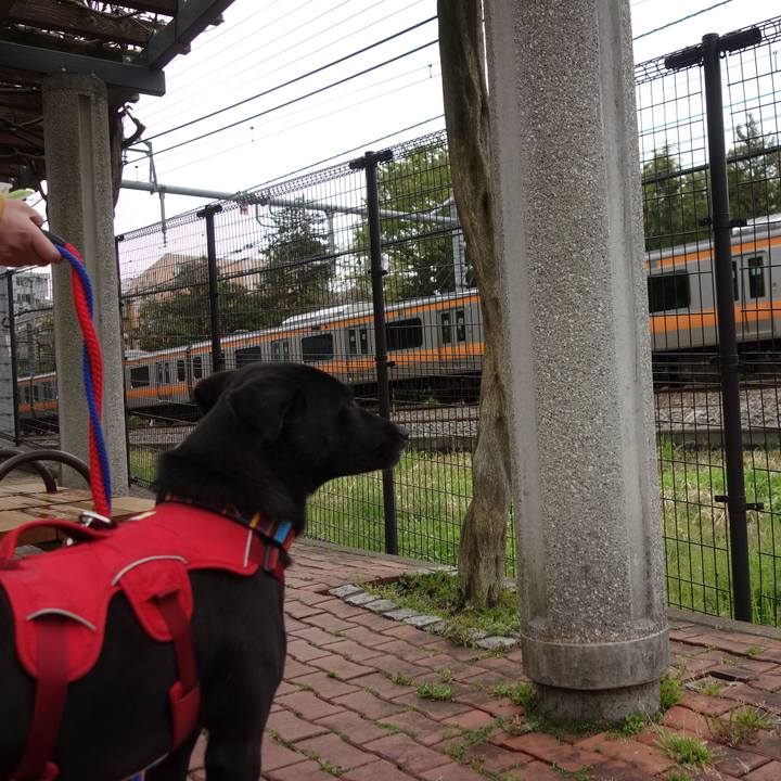 Ca4757e6 4063 438d 96d9 999b05cdab1e 1587087686165