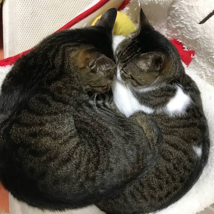 Ca476c82 ba43 4b3f 8287 b0bf8b080c6a 1524877033443