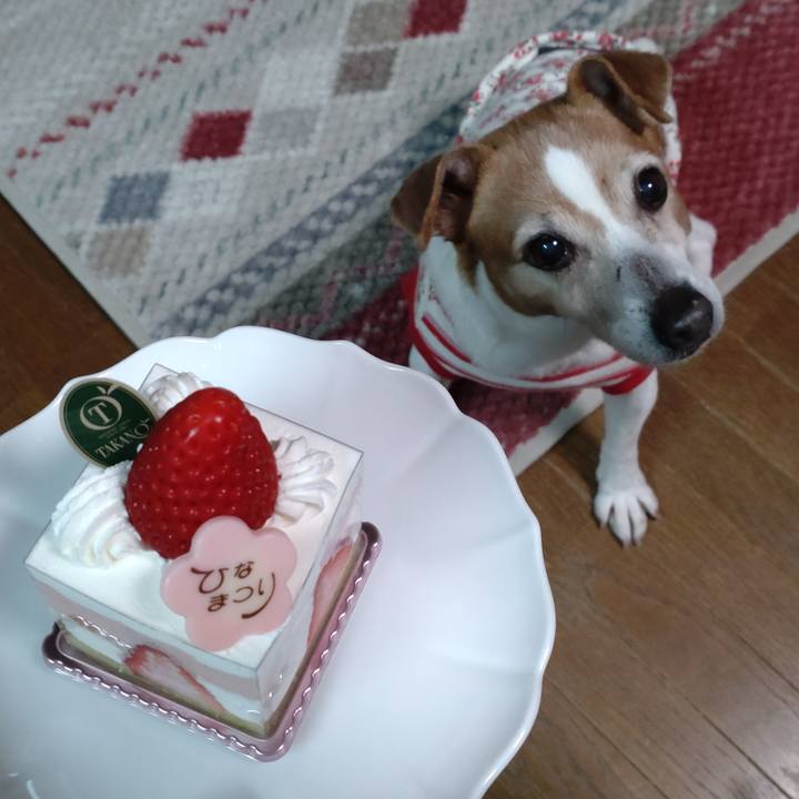 Ca477fc0 7633 4177 a45f f3b9847353d5 1772539219916