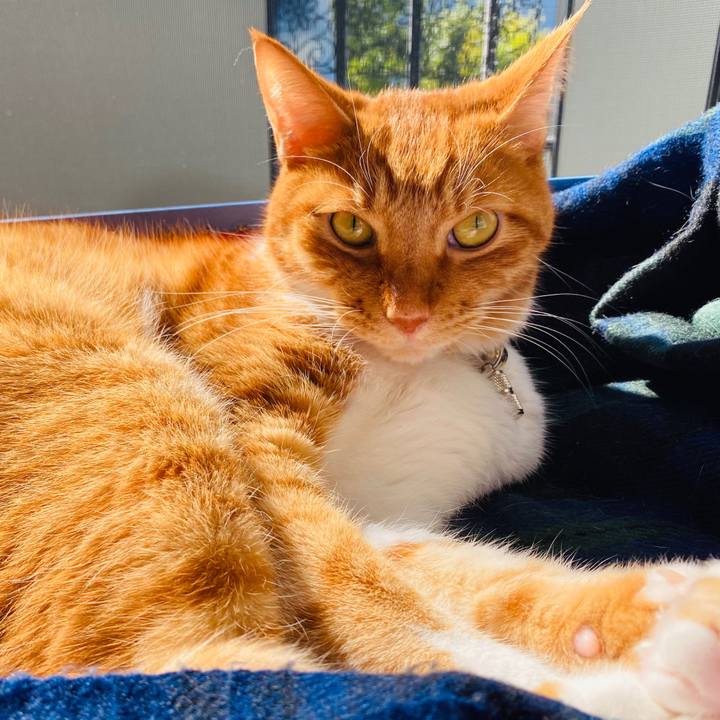 Ca47b2e8 3d9c 4913 a681 2b606d02d549 1603241227278