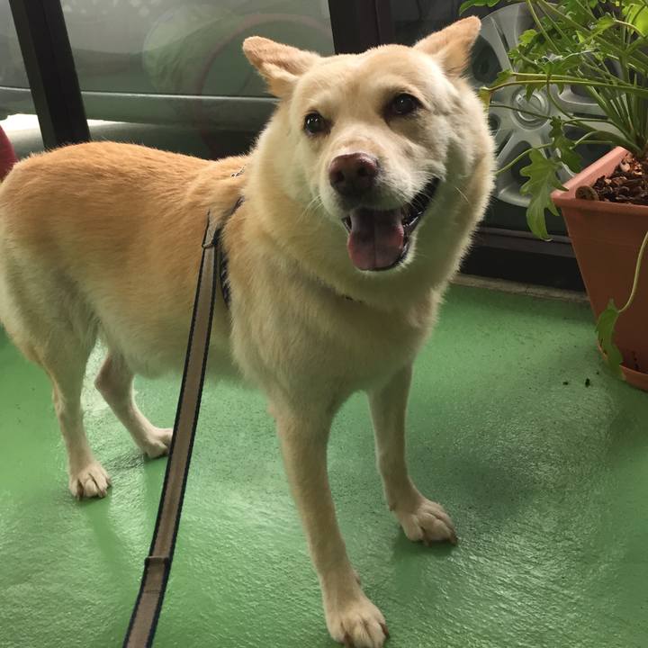 Ca47dadc 8077 41f0 8814 79835eaf5071 1528971776771