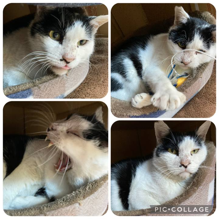 Ca47dcda 596d 452d 98ae 2d3b43d1a0af 1763609936029