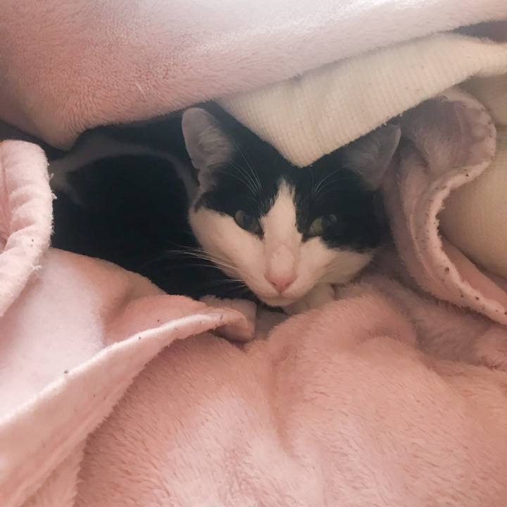 Ca47e9f2 88bd 4ded b3cb ef7d952d4061 1519824710438