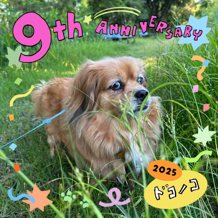 Ca47fa4e a117 43d5 bcbf 92c30822bfe7 1749158043694