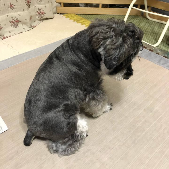 Ca480490 a3da 47db b6ef f0b9bf4200f5 1632836005303