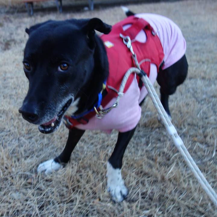 Ca480616 be85 4e64 9938 a64926ada6bc 1674259027547