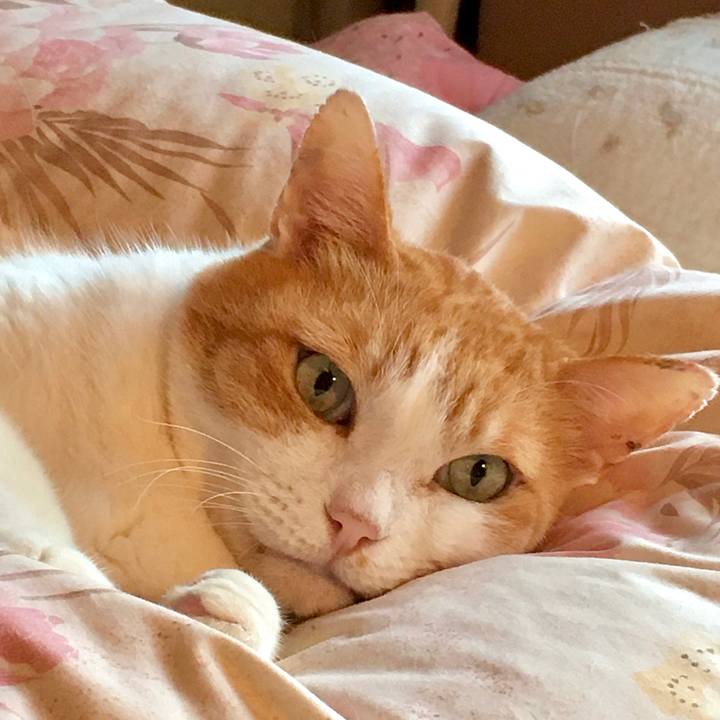 Ca4834ed 509c 45c3 a075 44ac90188e22 1592212918968