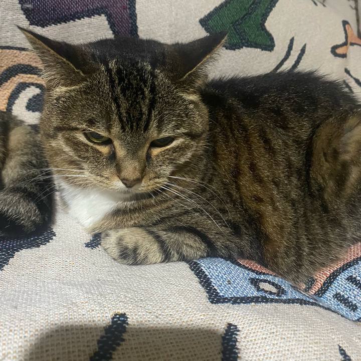 Ca484efa 539e 4df1 a29c ff6703d19362 1718988696449