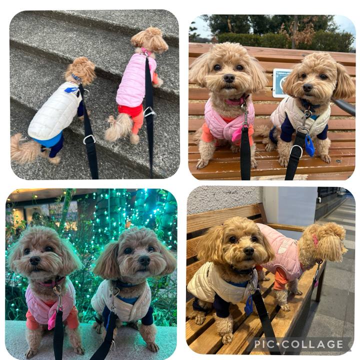 Ca48a68c 0d62 4f2a 972e 10ebfae99670 1736712435801