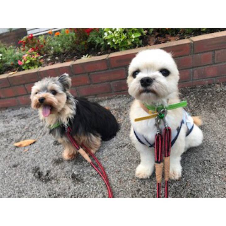 Ca49110e fbfe 42e4 8565 ceb1f33c284f 1537354935397