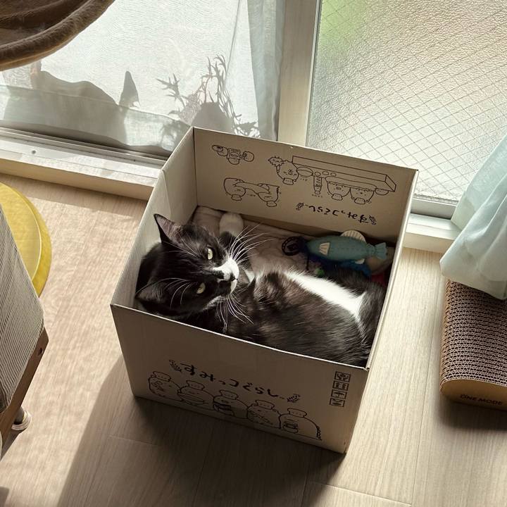 Ca493d69 9479 444e 8e48 d6587f2300d5 1771645183617