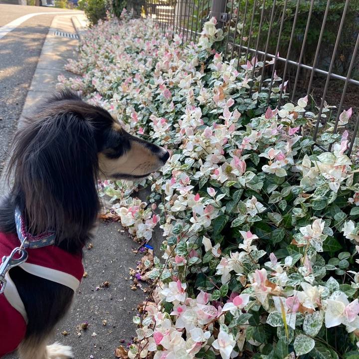 Ca494e83 22e9 431a 993e 2df15417075b 1756520326000