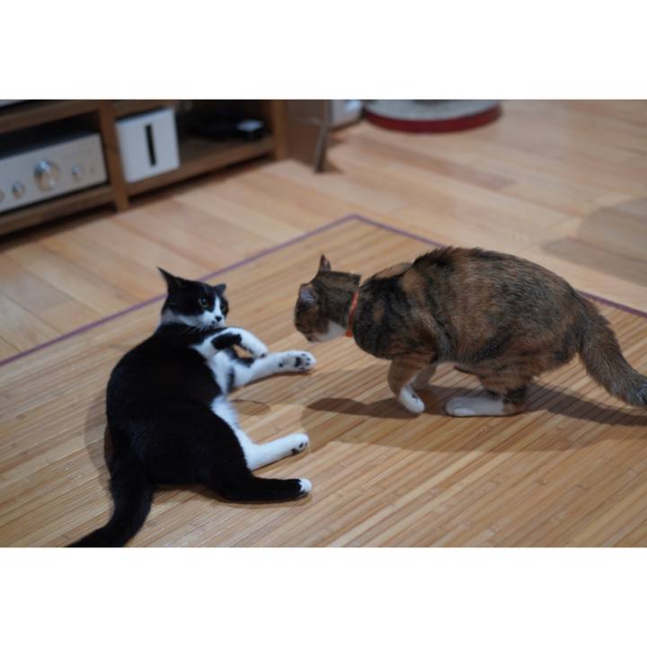 Ca495ea6 2368 4eca b082 2d220114908c 1626618204133