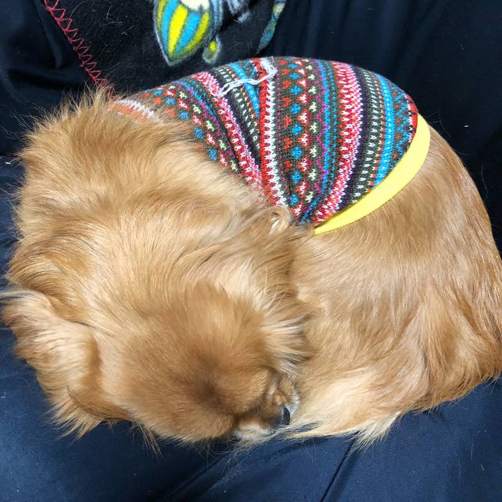 Ca4963a3 121b 4f57 be48 468e8893ec3f 1515531827317