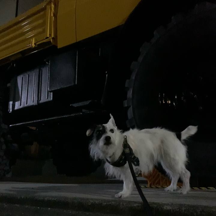 Ca497576 c50b 4fa0 a6e2 3b026fea5adc 1754573144816