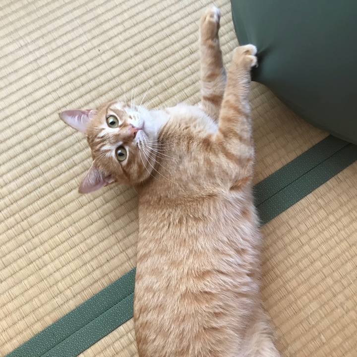 Ca497c80 b0de 482f 85ac 03925f64eaaf 1526537005261