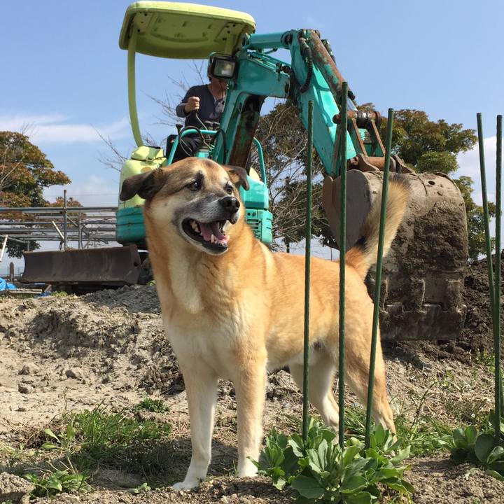 Ca49b99d 4d10 4f28 91b5 8a93d1d0375c 1521114500836