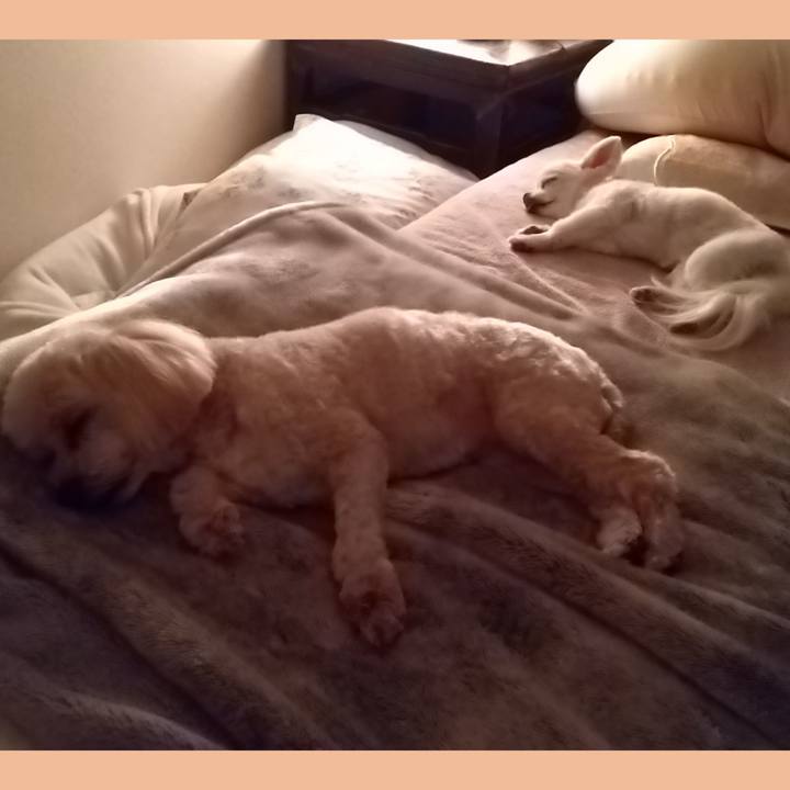 Ca49f347 b17f 49aa 8153 197e4035a78d 1623507679885