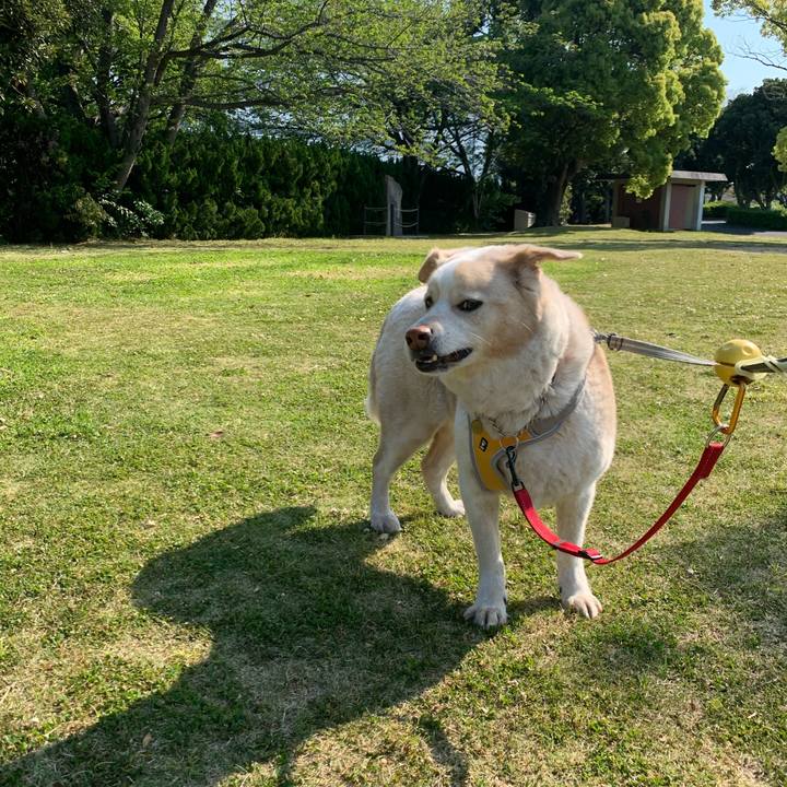 Ca4a480d b89b 4d62 81e1 b18ec68497de 1588120587164